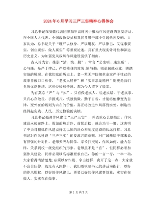 2024年6月学习三严三实精神心得体会