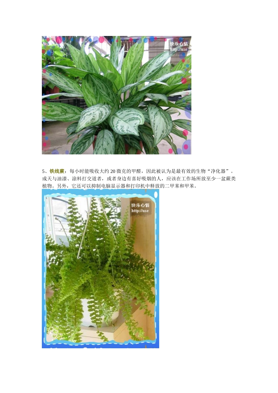 质量是企业的生命5405869369_第2页