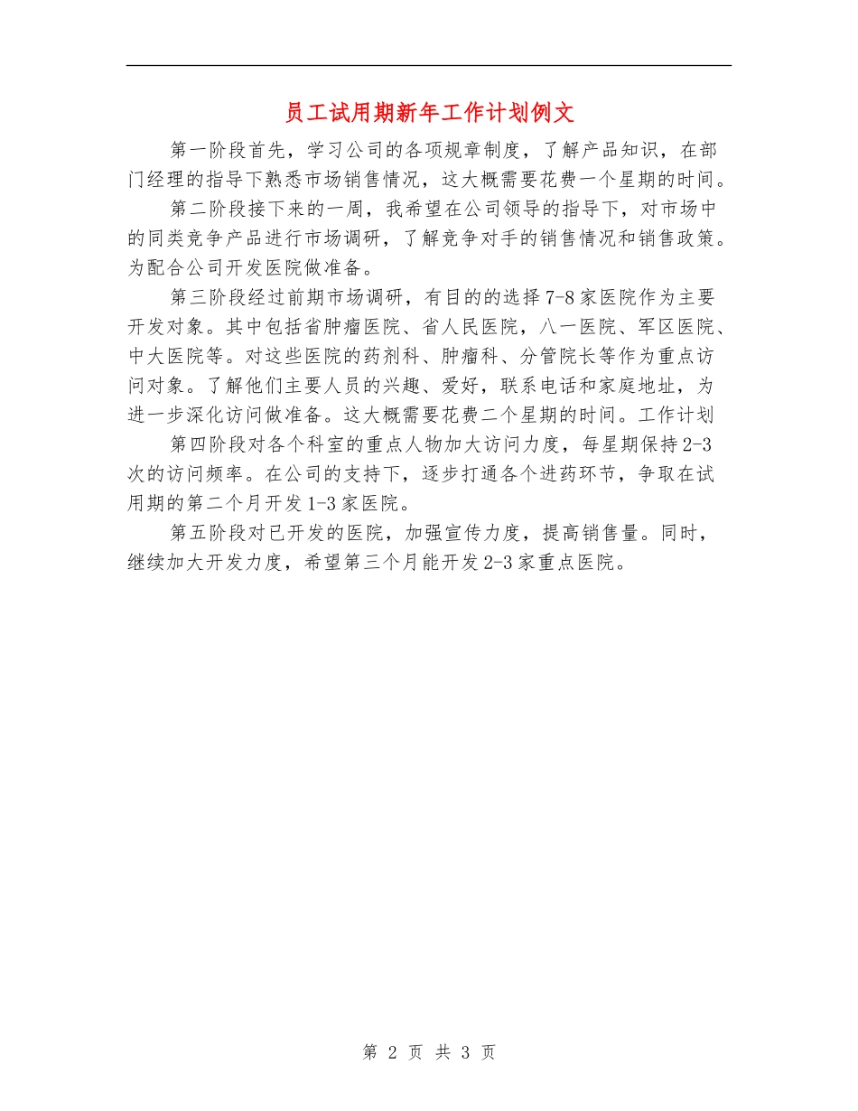 员工试用期新年工作计划例文_第2页