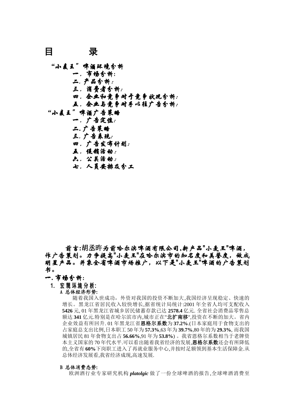 小麦王啤酒环境分析与广告策略_第1页