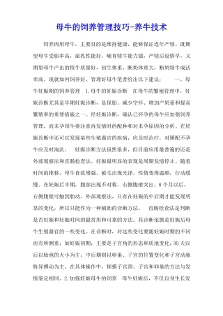 母牛的饲养管理技巧-养牛技术
