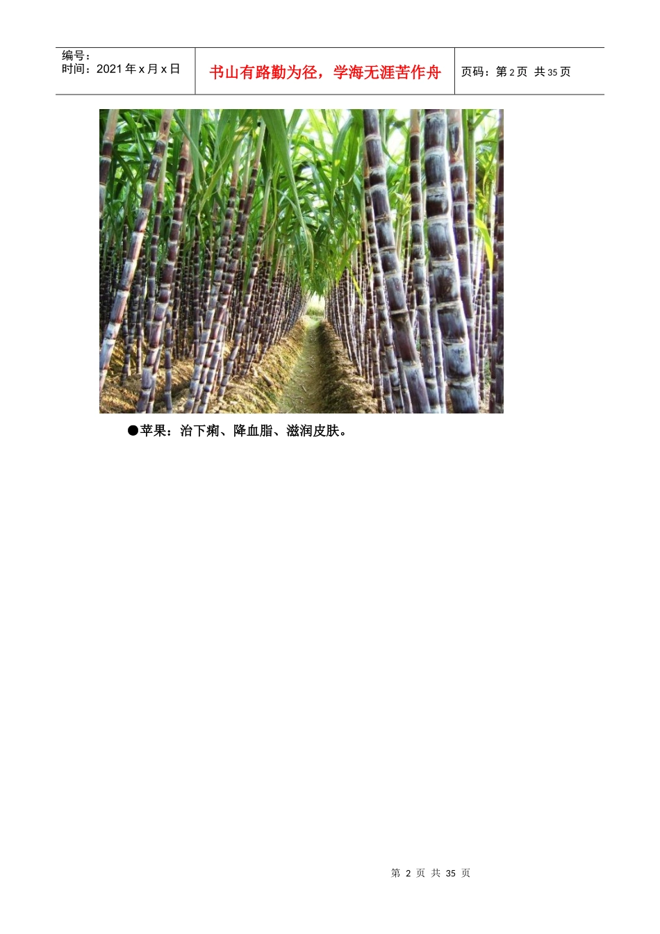 各种水果的药理作用_第2页