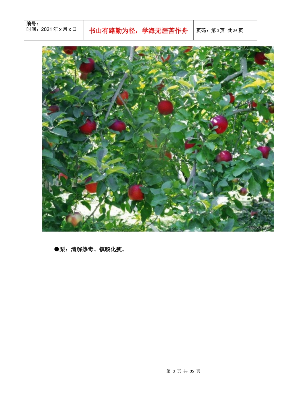 各种水果的药理作用_第3页