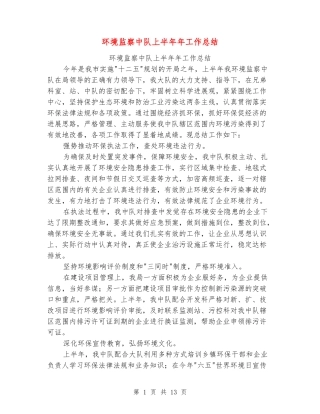 环境监察中队上半年年工作总结