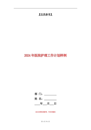 2024年医院护理工作计划样例