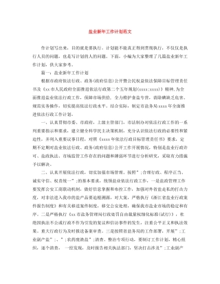盐业新年工作计划范文 