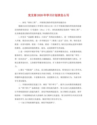 党支部年学习计划表怎么写 