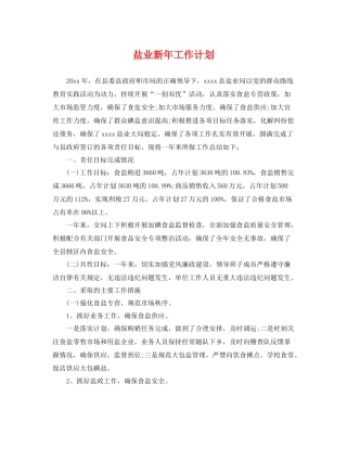 盐业新年工作计划 