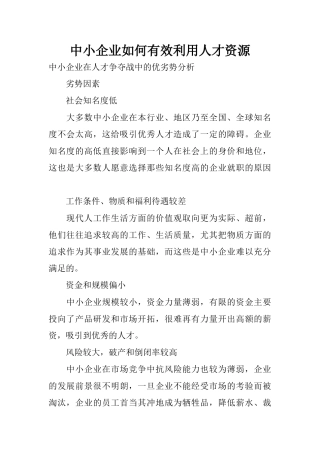 中小企业如何有效利用人才资源
