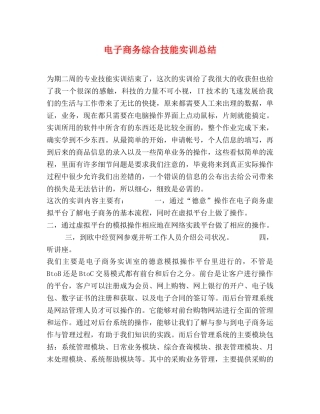 电子商务综合技能实训总结 