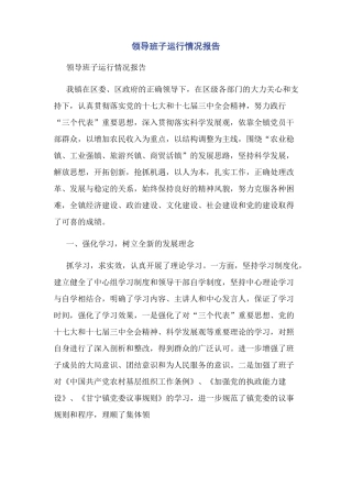 领导班子运行情况报告
