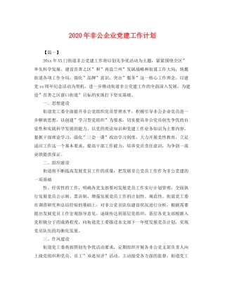 2020年非公企业党建工作计划 