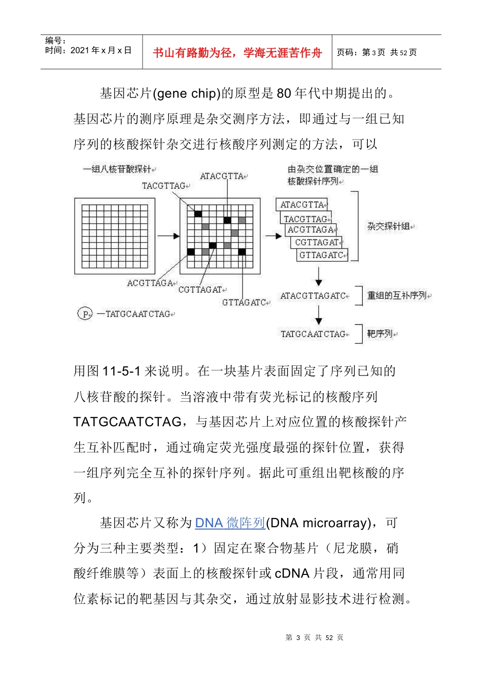基因芯片简介_第3页