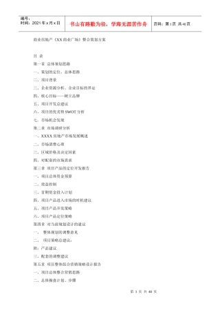 商业房地产整合策划方案