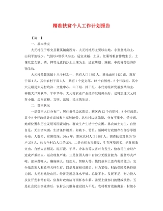 精准扶贫个人工作计划报告 