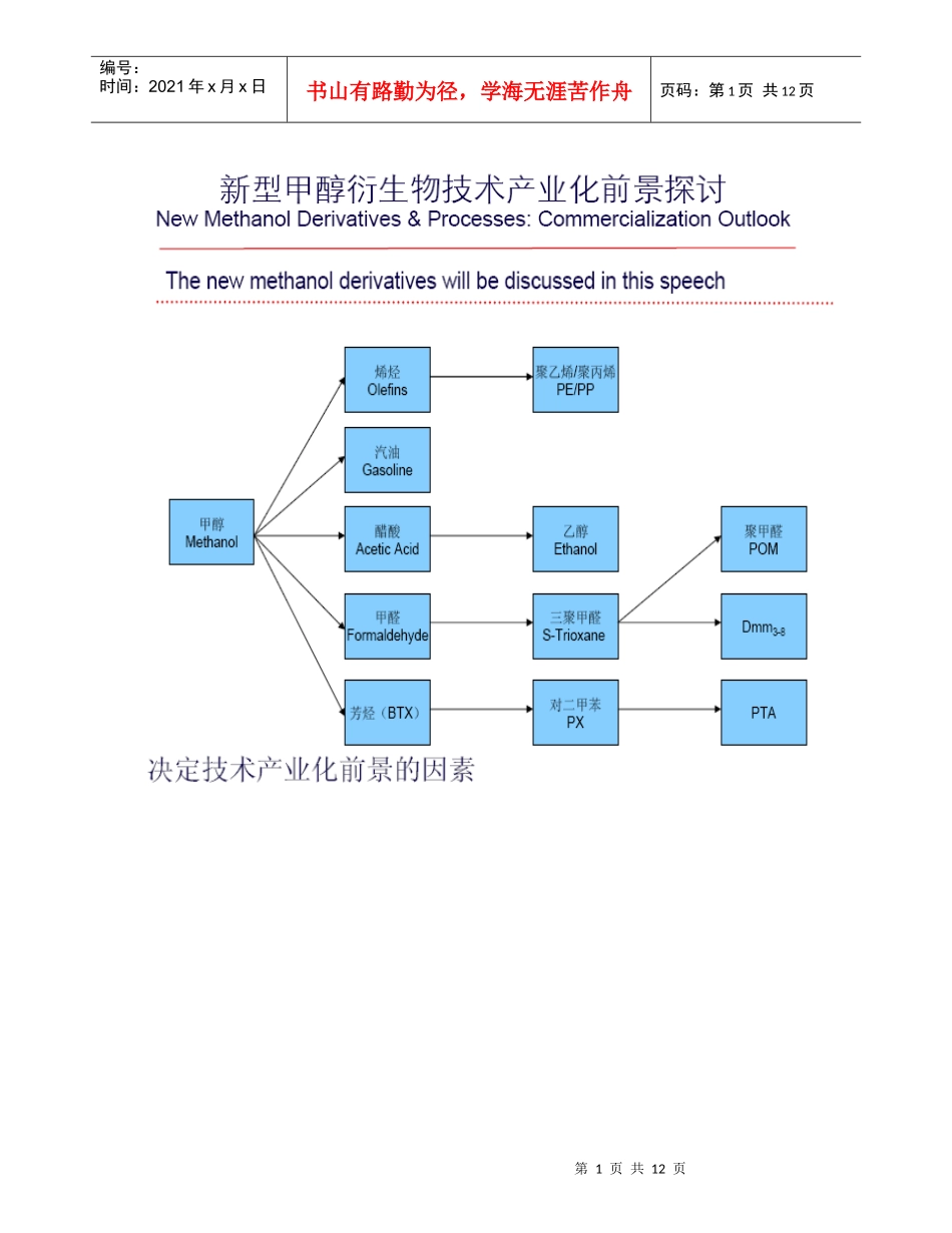 新型甲醇衍生物技术产业化前景探讨_第1页