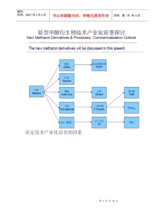 新型甲醇衍生物技术产业化前景探讨