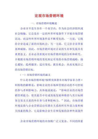 宏观市场分析营销环境管理