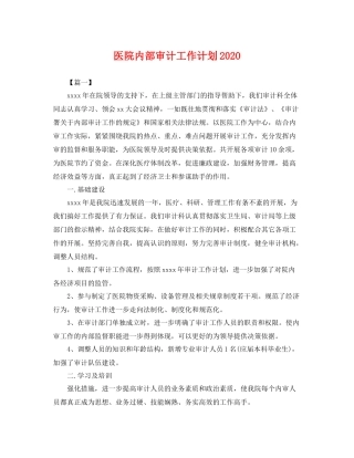 医院内部审计工作计划2020 