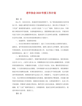 老年协会年度工作计划 