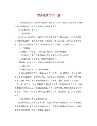 市少先队工作计划 
