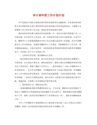 审计部年度工作计划计划 