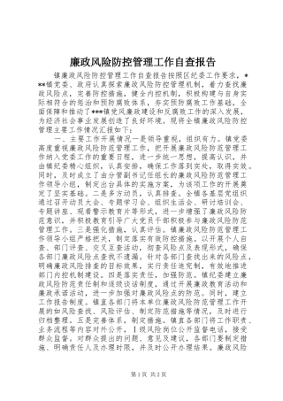 廉政风险防控管理工作自查报告