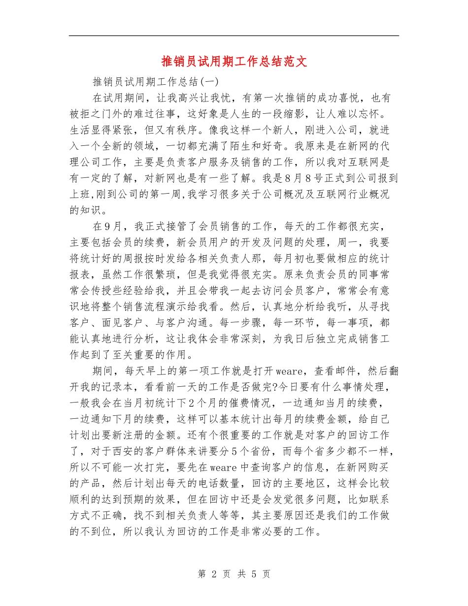 推销员试用期工作总结范文_第2页