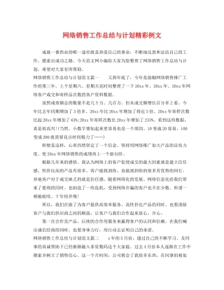 网络销售工作总结与计划精彩例文 