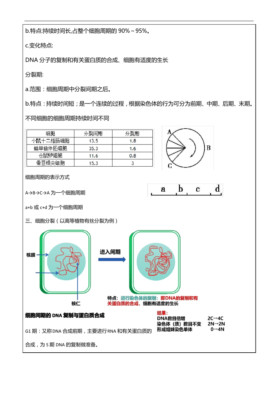 高中生物新教材必修一教学案细胞的增殖_第3页
