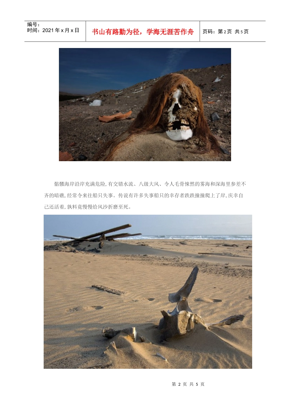 奇闻大观：神秘莫测的骷髅海岸！(图)_第2页