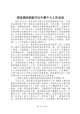 团县委挂职副书记中期个人工作总结