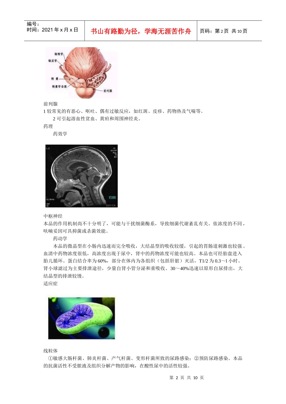 呋喃妥因----最便宜有效的抗泌尿感染药_第2页