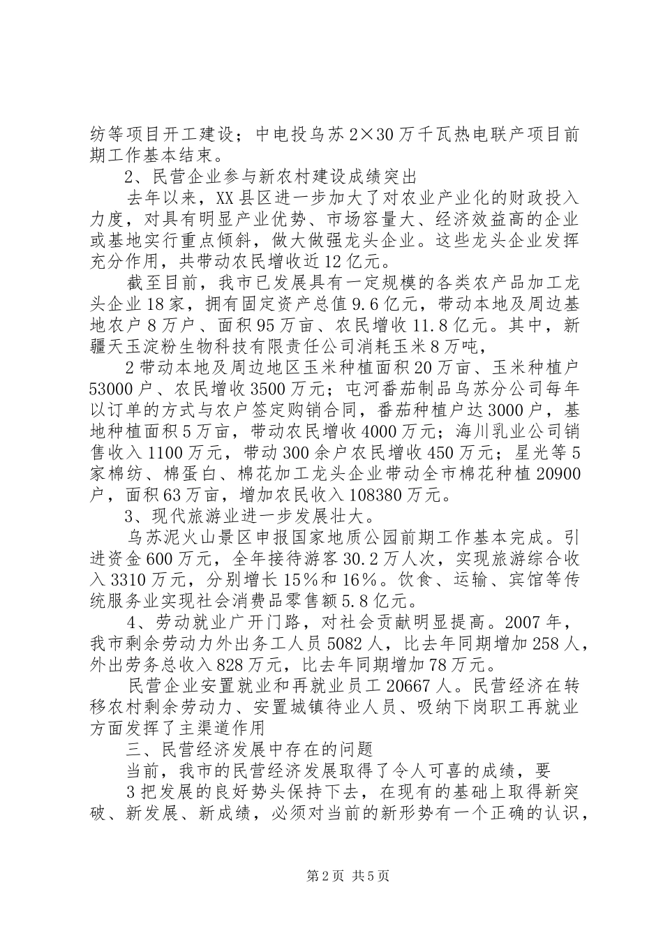 民营经济发展报告_第2页