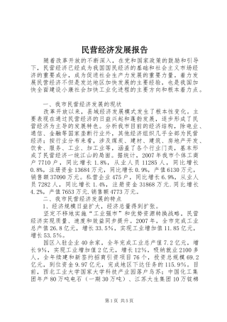 民营经济发展报告