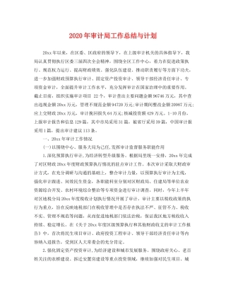 2020年审计局工作总结与计划 