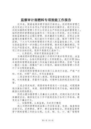 监察审计部燃料专项效能工作报告