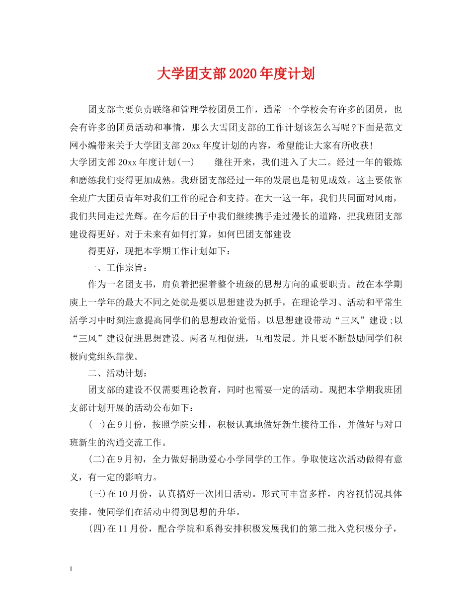 大学团支部2020年度计划 _第1页