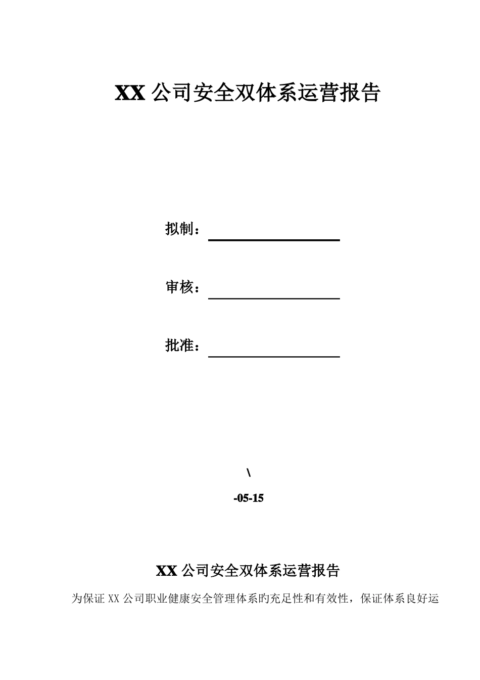 安全双体系运行报告_第1页
