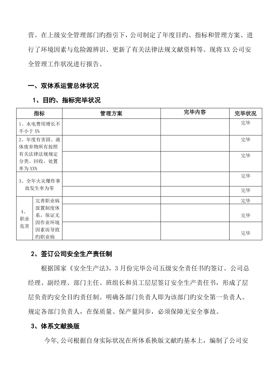 安全双体系运行报告_第2页