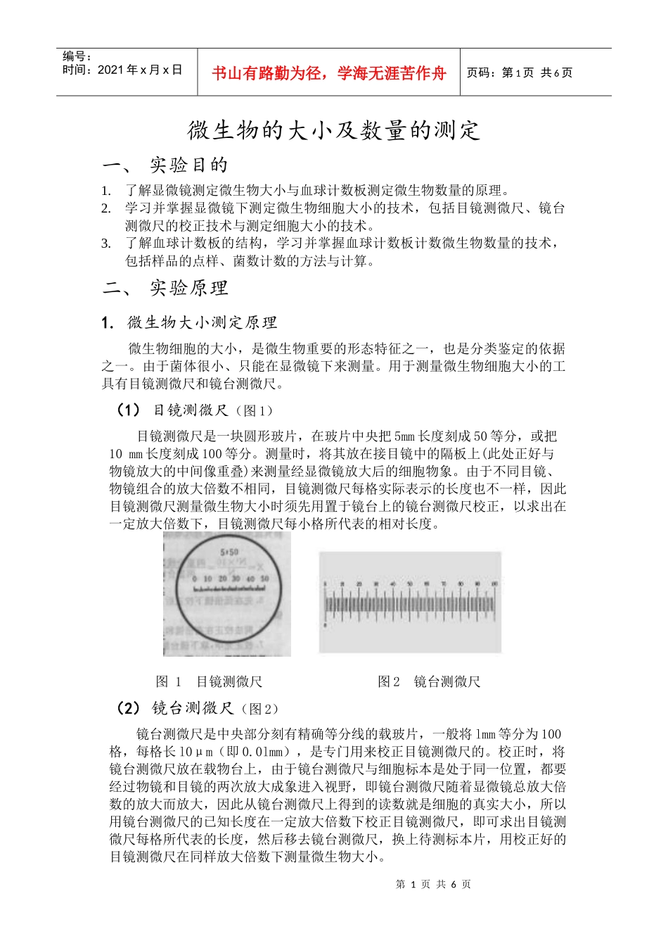微生物的大小及数量的测定_第1页