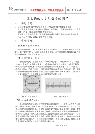 微生物的大小及数量的测定