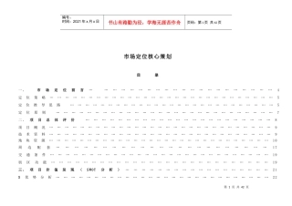 房地产市场定位核心策划