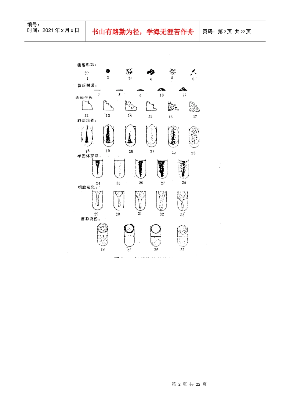 微生物常规鉴定技术_第2页