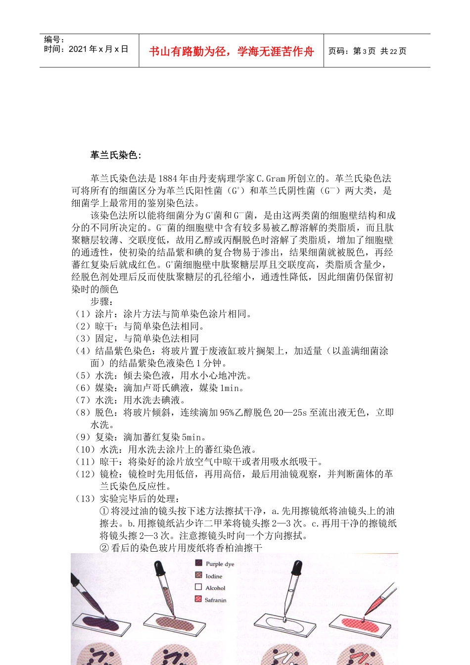 微生物常规鉴定技术_第3页