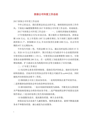 担保公司年度工作总结 
