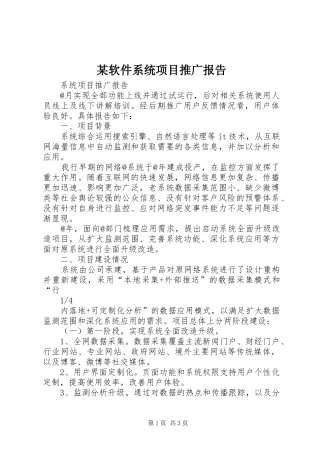 某软件系统项目推广报告