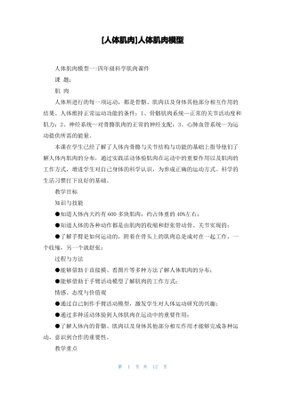人体肌肉人体肌肉模型
