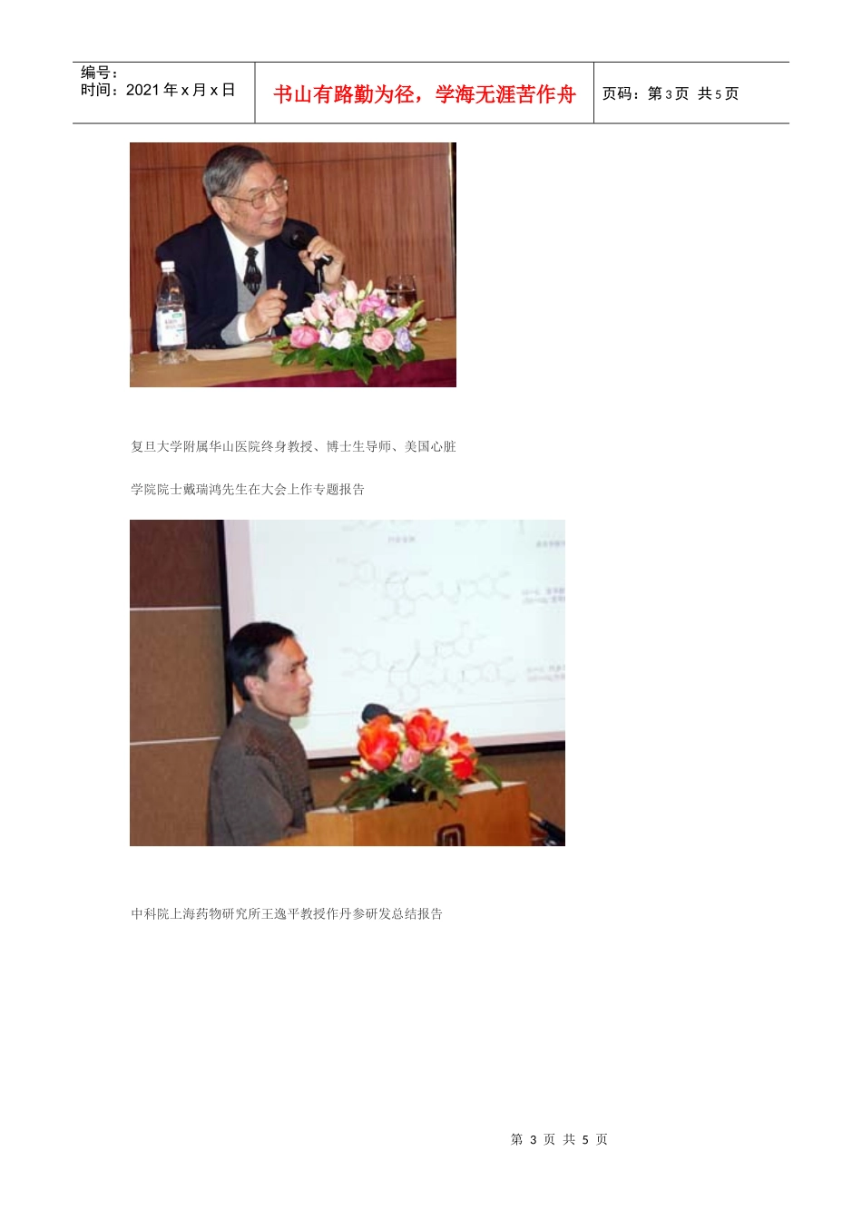国药瑰宝丹参现代化_第3页