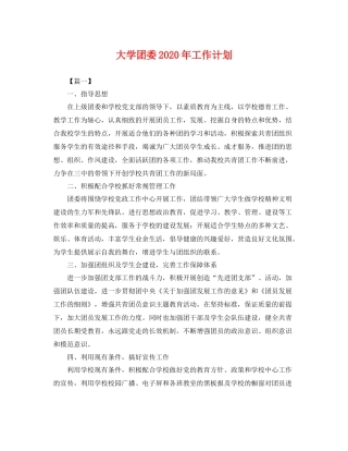 大学团委年工作计划 